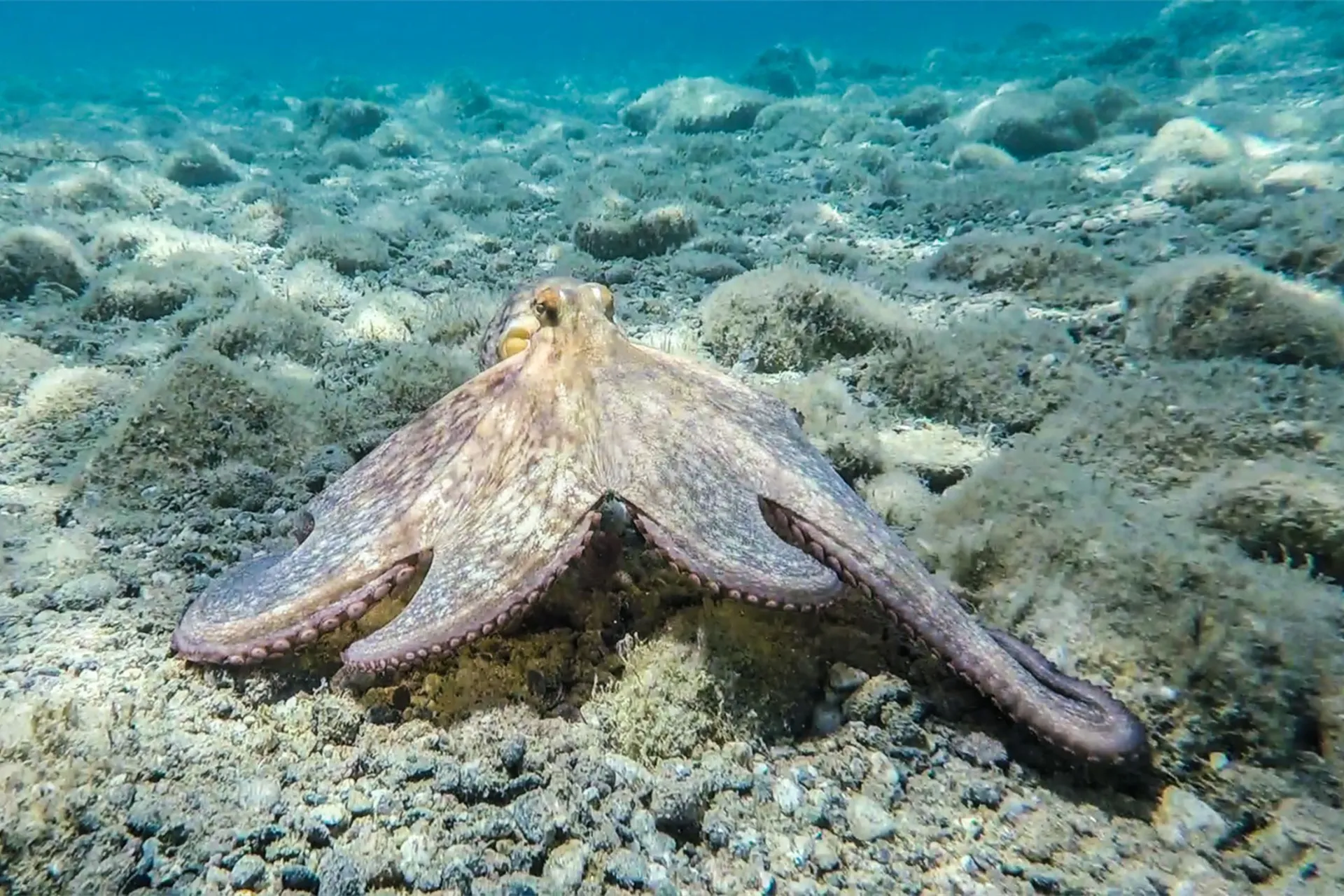 Sicily boat tours with Sicily Boating