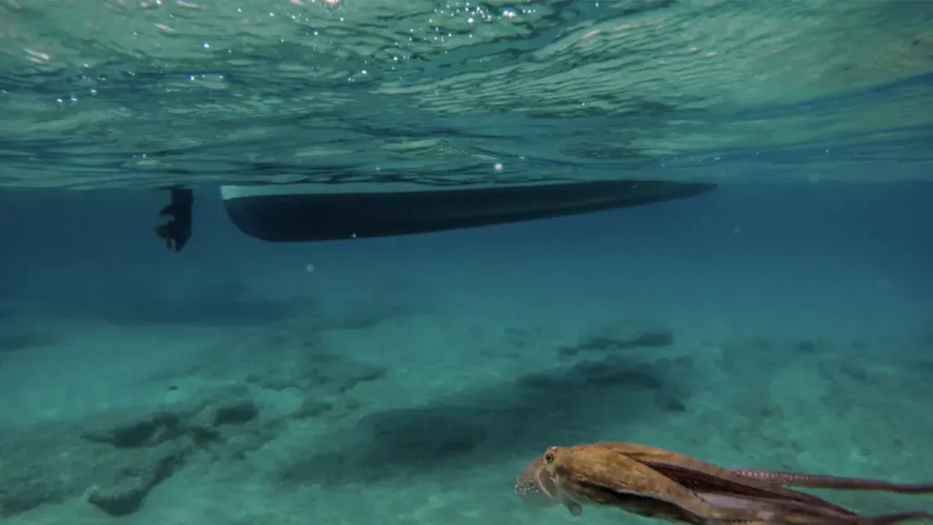 In 2019, we had the incredible opportunity to showcase our signature Barehanded Octopus Snorkeling on the international stage.