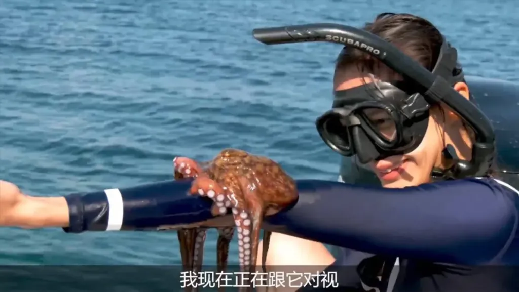 In 2019, we had the incredible opportunity to showcase our signature Barehanded Octopus Snorkeling on the international stage.