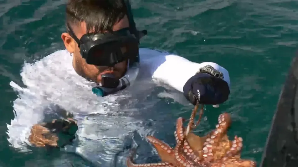 In 2019, we had the incredible opportunity to showcase our signature Barehanded Octopus Snorkeling on the international stage.