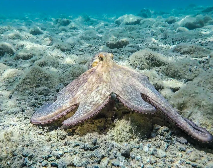 Sicily boat trips around the island