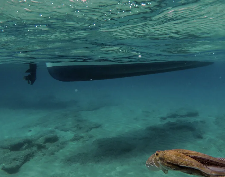 Snorkeling in Taormina and Isola Bella while on a private boat tour